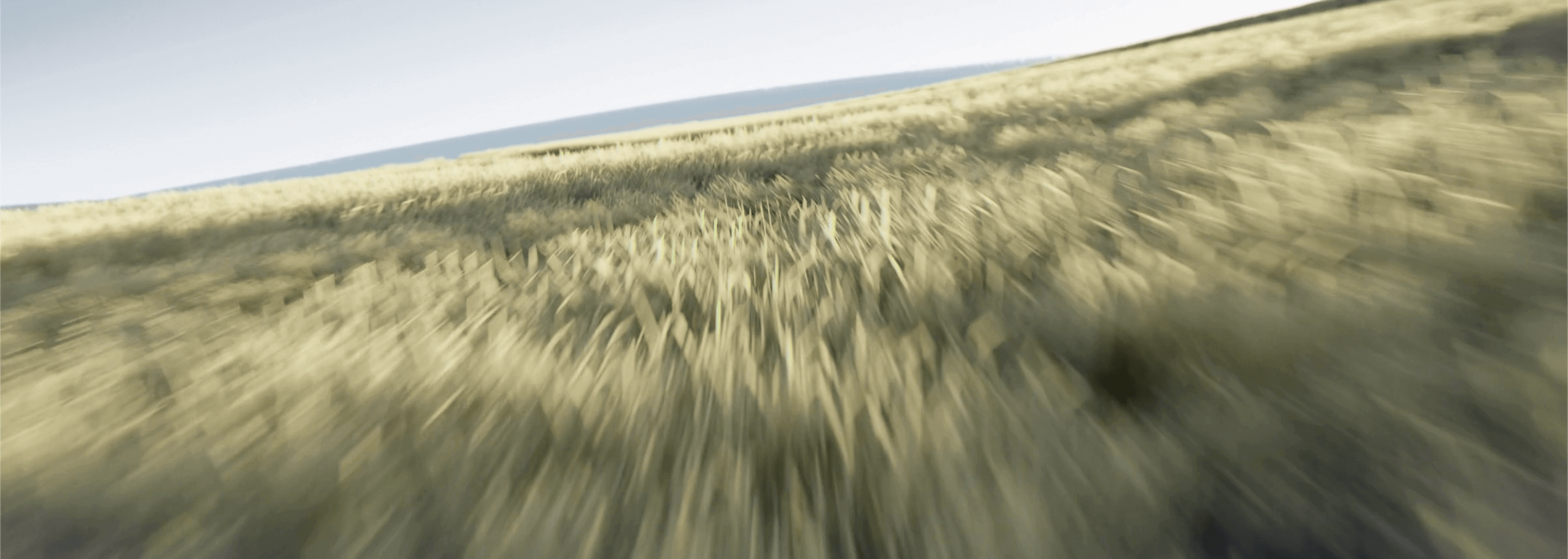 Volkswagen Group Ireland